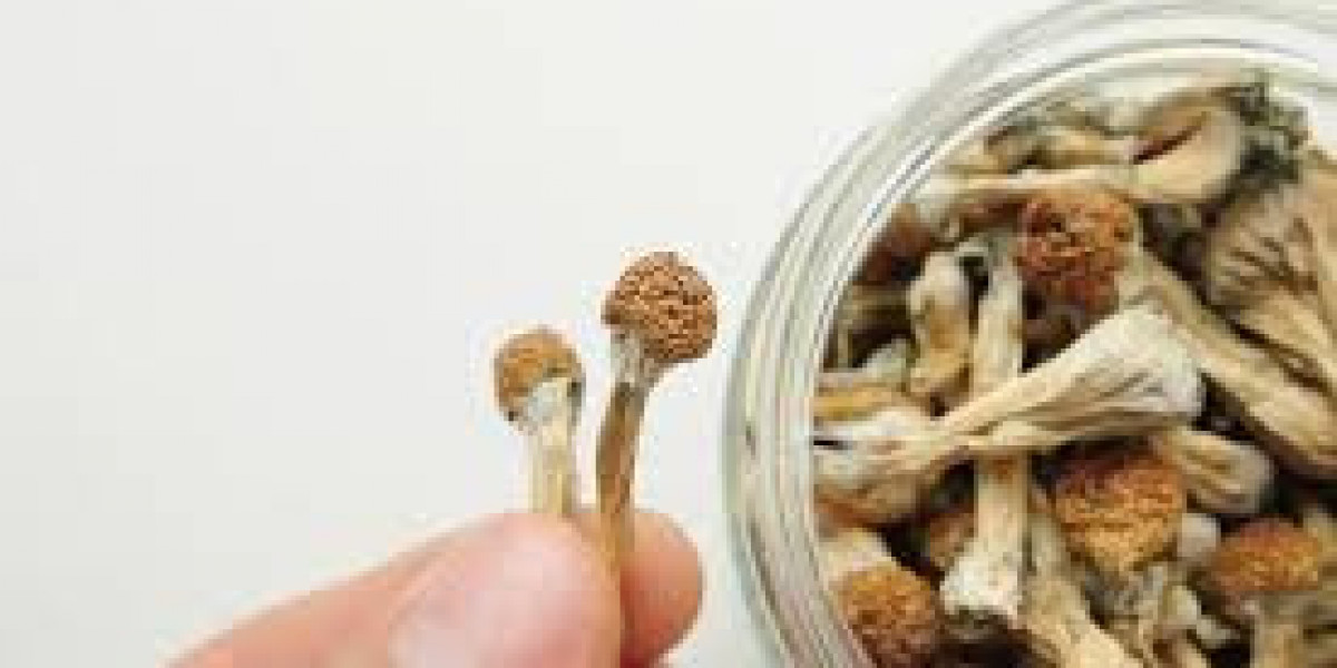 How to Buy Magic Mushrooms Online Safely and Responsibly