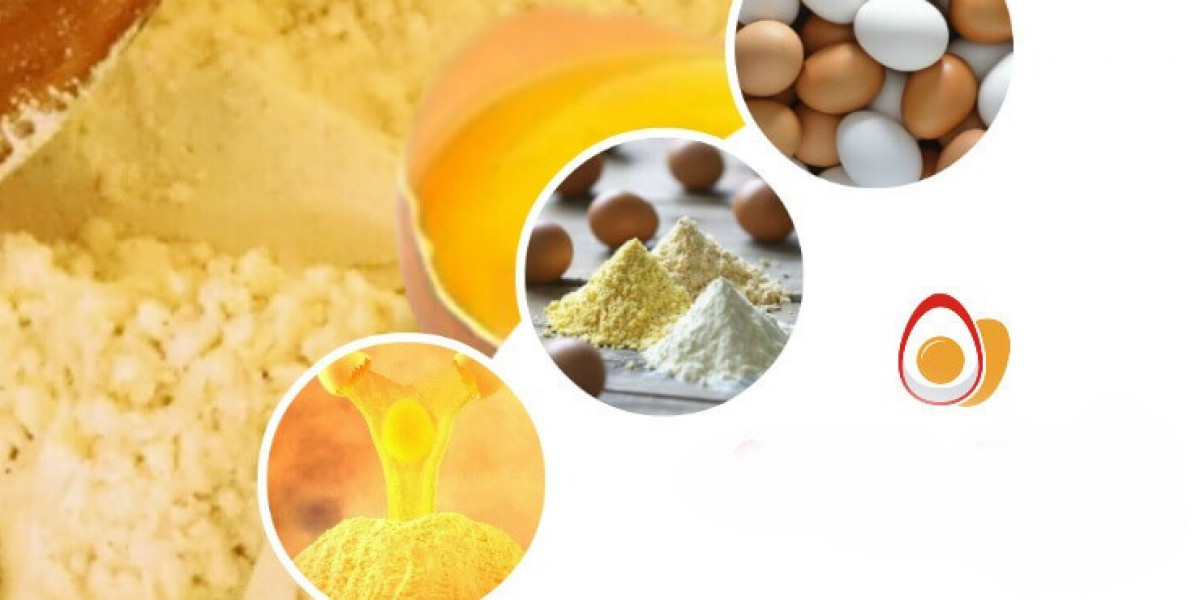 Report on Whole Egg Powder Manufacturing Plant 2025: Complete Roadmap for Setting up a Plant Unit