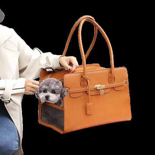 dog carrier Profile Picture