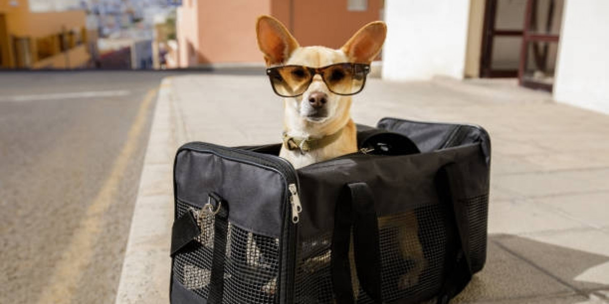 Why a Dog Purse is the Ideal Pet Carrier for Stylish Travel in the United Kingdom