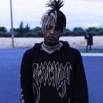 Revenge hoodie Profile Picture
