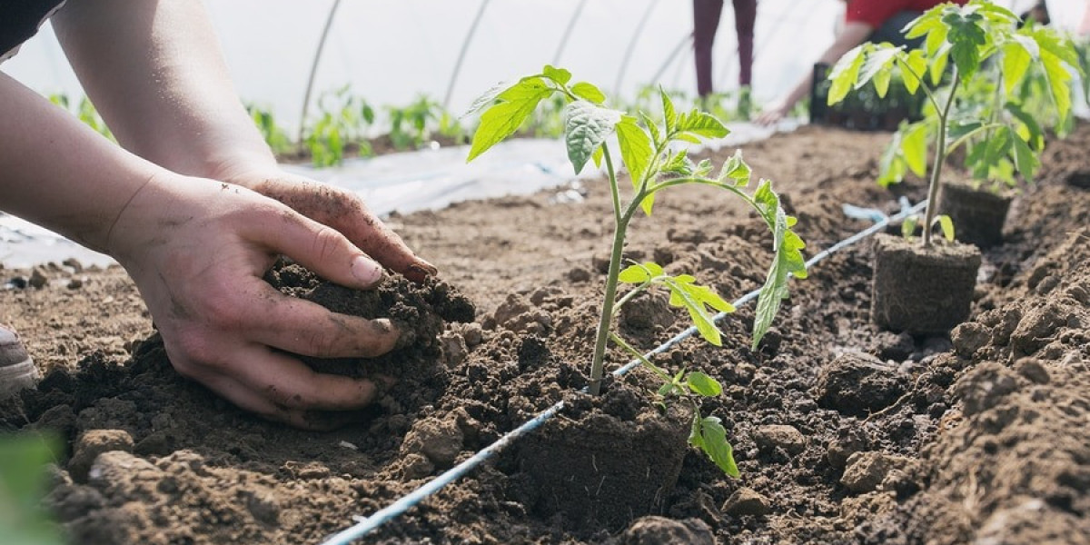Biofertilizer Manufacturing Project Setup Cost and Process: Business Plan