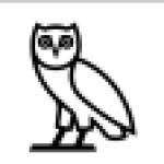drake merch hoodie profile picture