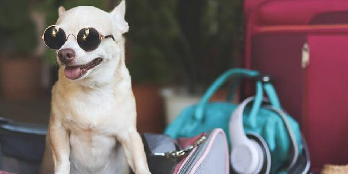 Explore the Comfort and Convenience of a Front Pet Carrier for Small Dogs