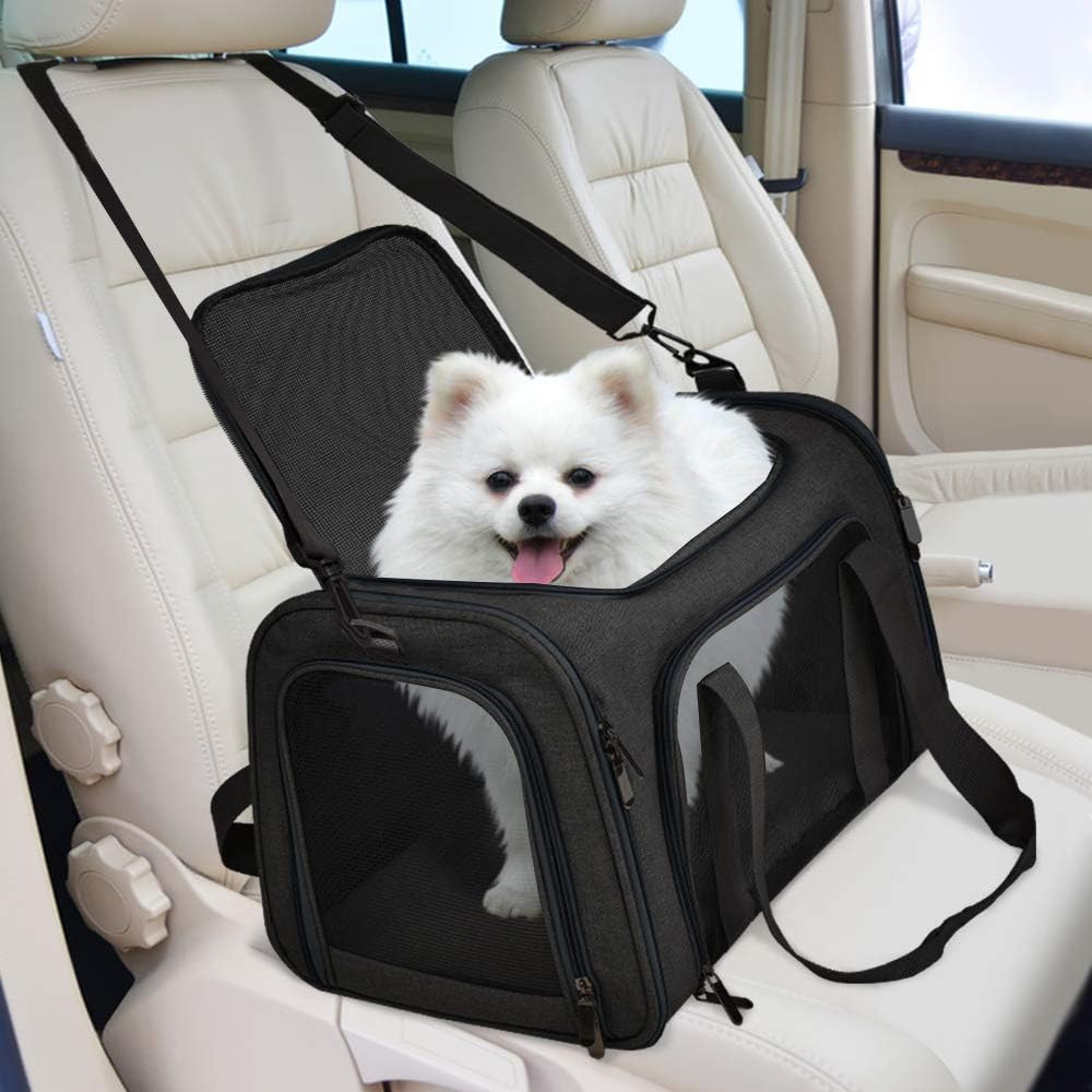 dogcarrier Profile Picture