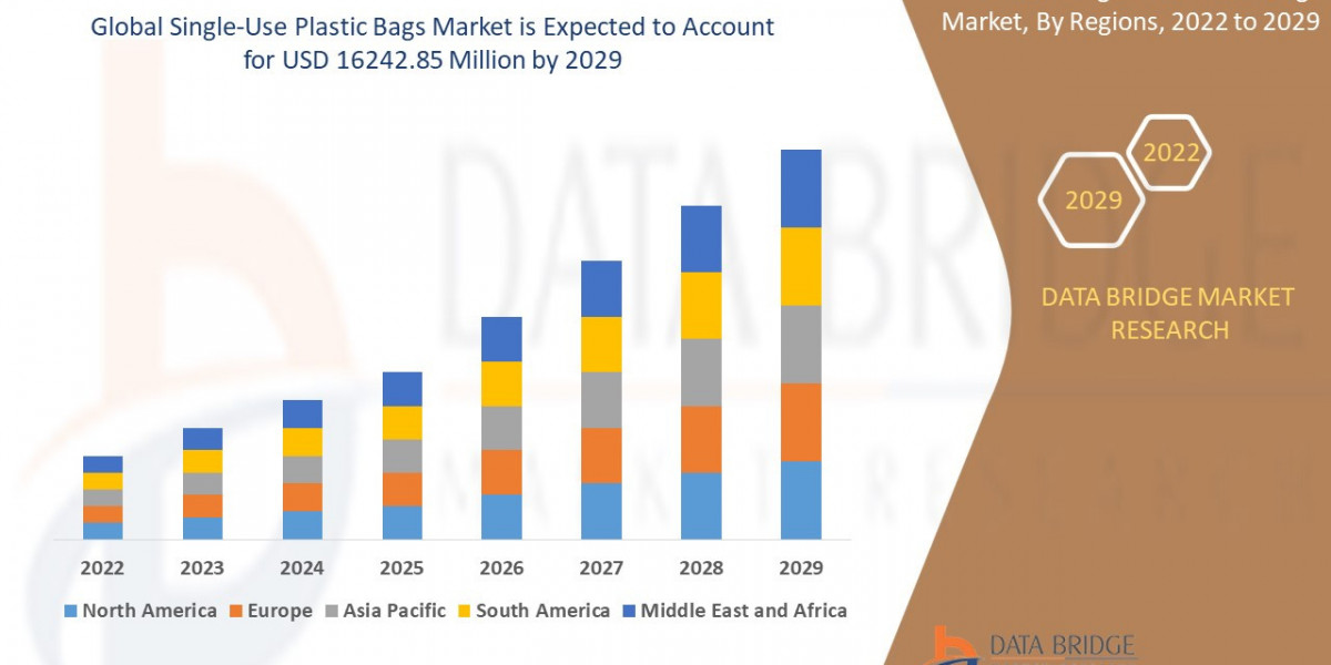 Single‑Use Plastic Bags: Alternatives, Bans & Environmental Impact