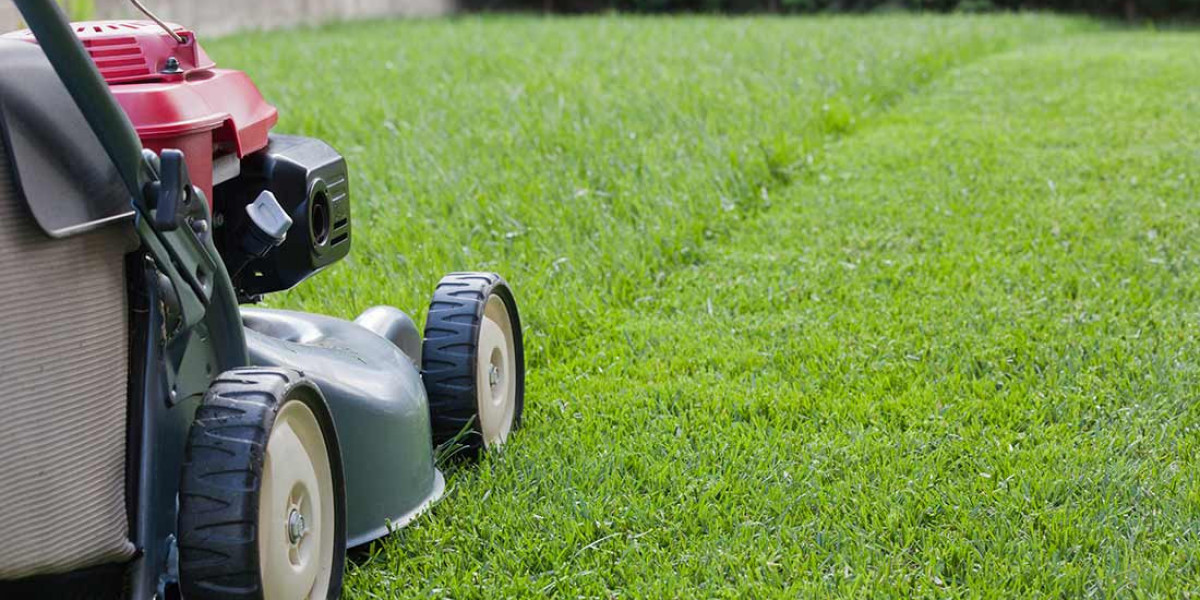 Lawn Care Near Me