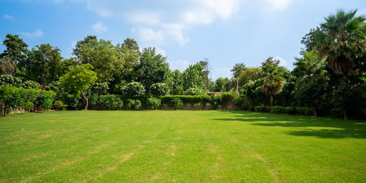 Experience Luxury and Serenity at the Best Farmhouses in Delhi NCR