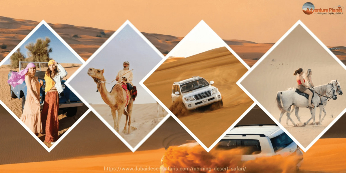 Unforgettable Reasons to Love Morning Desert Safari